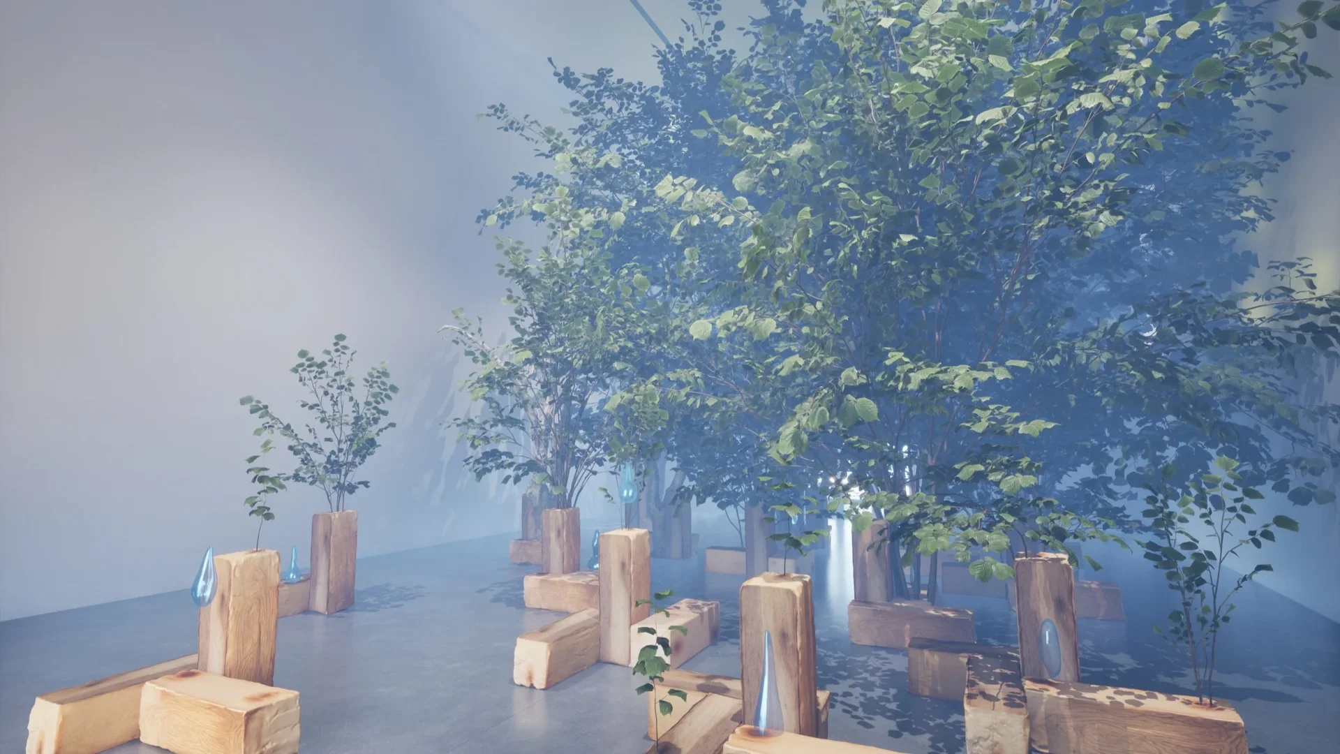 Trees growing from cut timber inside a sunlit gallery in Toward Entropy